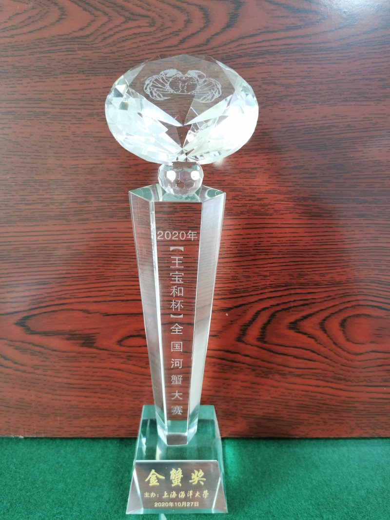 2020年王寶和杯金蟹獎